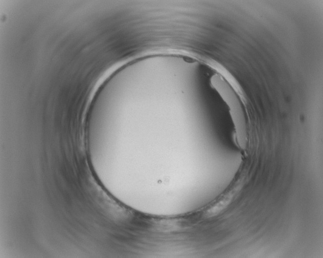 X0000065251004200603131123