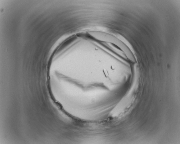 X0000065251005200603131123