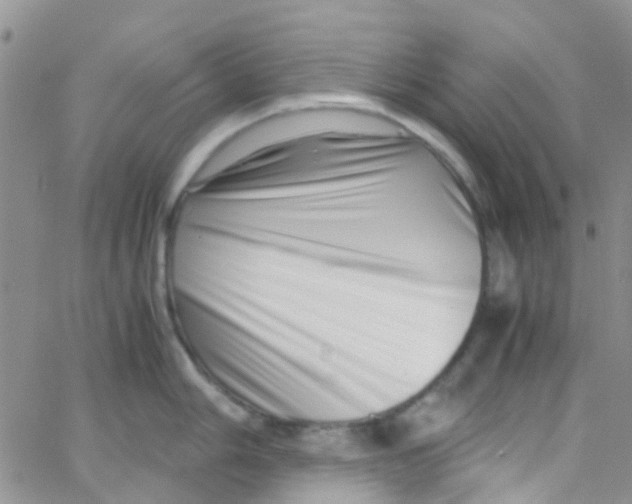 X0000065251006200603131123