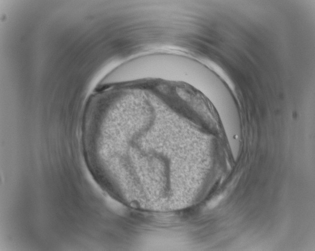 X0000065251007200603131123