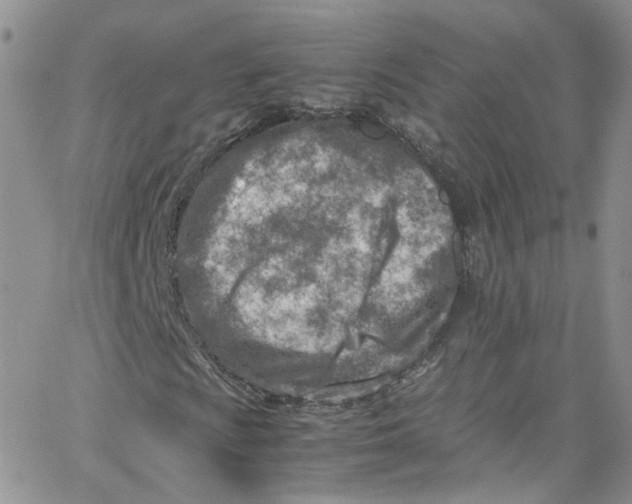 X0000065251009200603131122