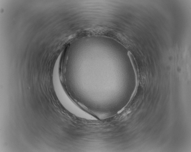 X0000065251010200603131122