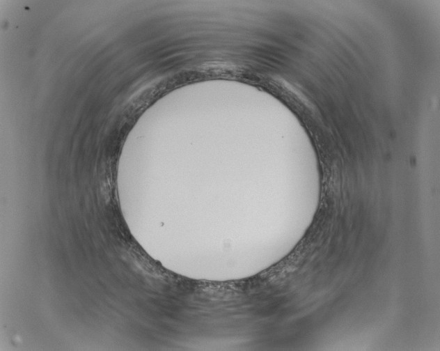 X0000065251015200603131122