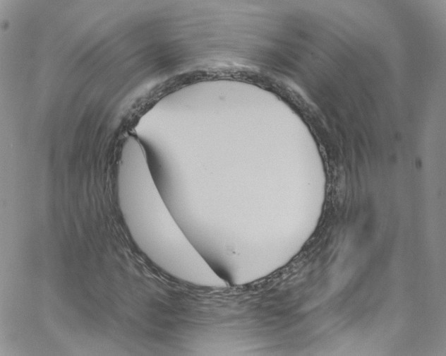 X0000065251016200603131122