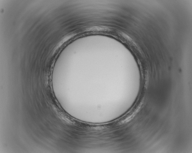 X0000065251017200603131122