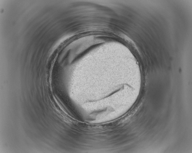 X0000065251019200603131122