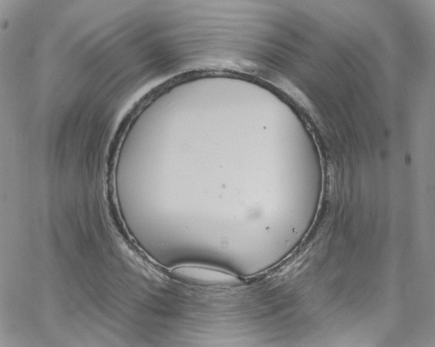 X0000065251020200603131122