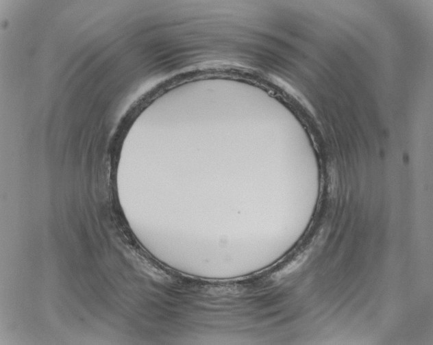 X0000065251021200603131122