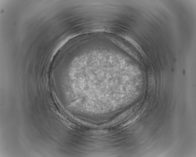 X0000065251023200603131122