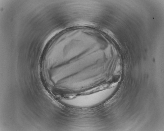 X0000065251024200603131122