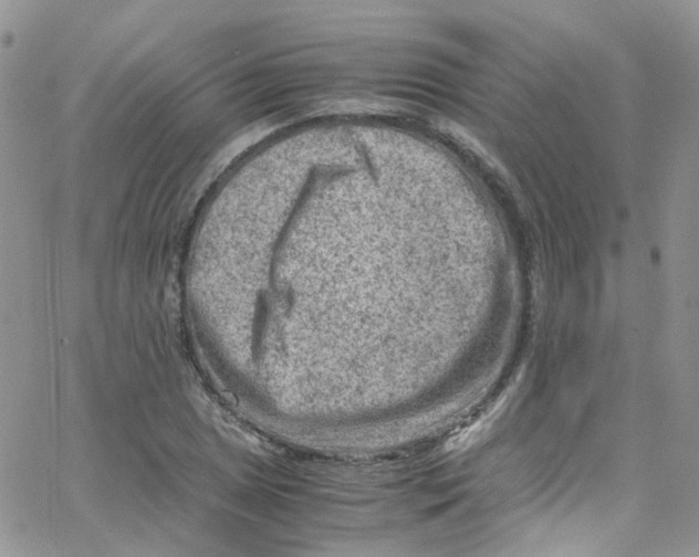 X0000065251025200603131122