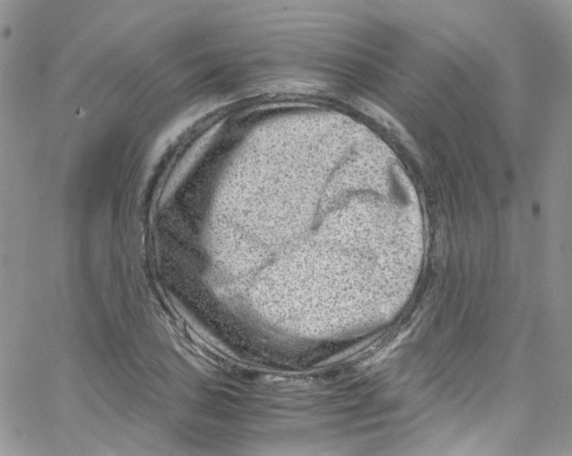 X0000065251027200603131123