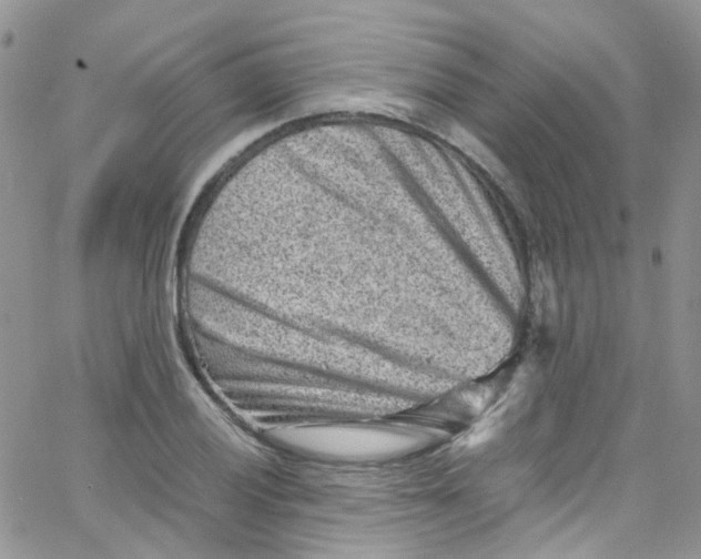 X0000065251028200603131123