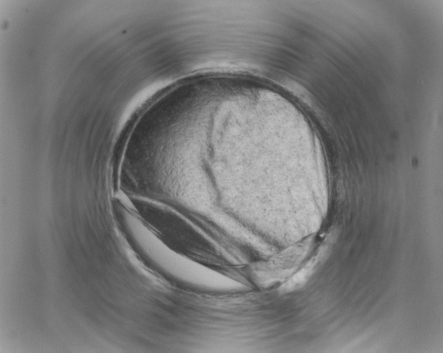 X0000065251030200603131123