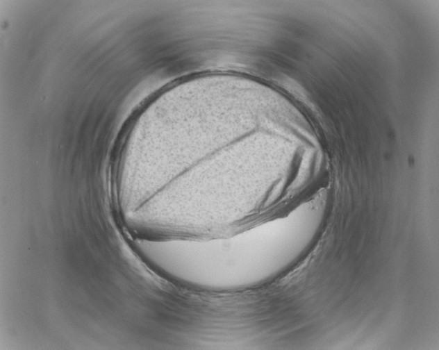 X0000065251032200603131123