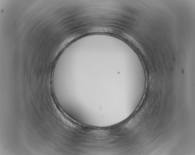 X0000065251033200603131123