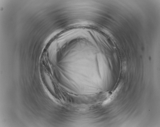 X0000065251034200603131123