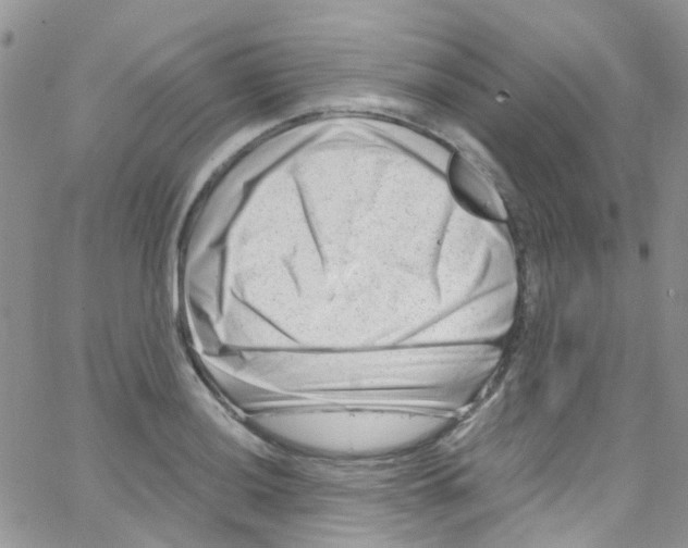 X0000065251036200603131123