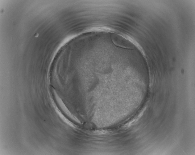 X0000065251037200603131123