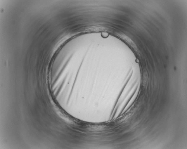 X0000065251039200603131123