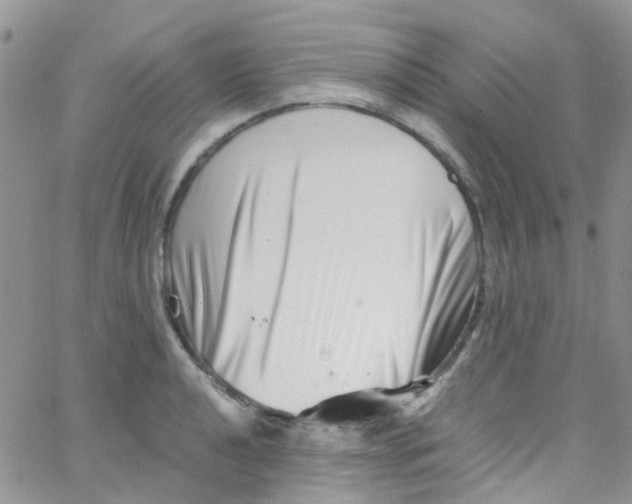 X0000065251040200603131123