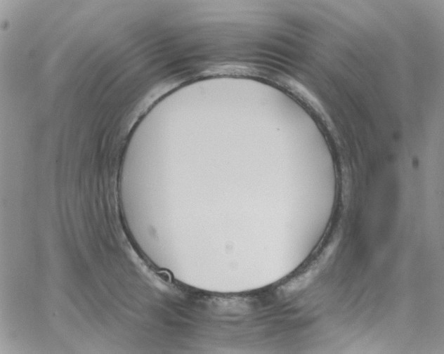 X0000065251041200603131123