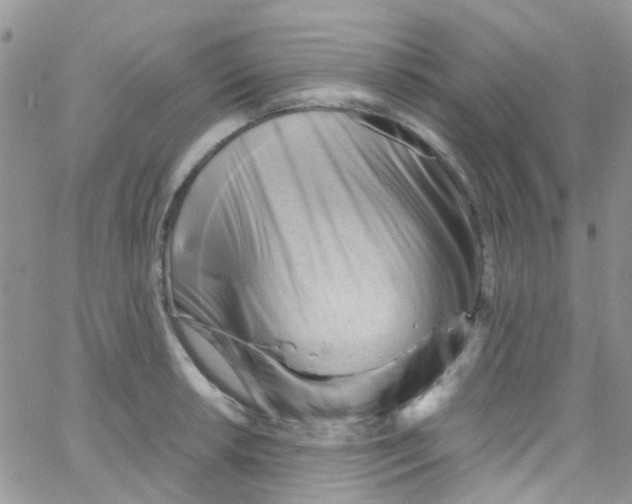 X0000065251042200603131123