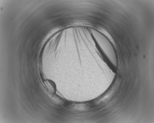 X0000065251043200603131123