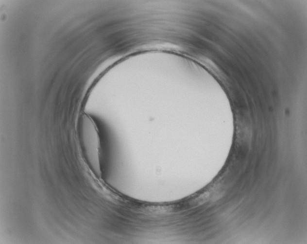 X0000065251044200603131123