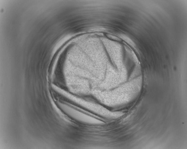 X0000065251047200603131123