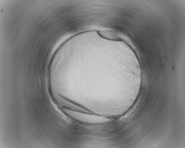 X0000065251048200603131123