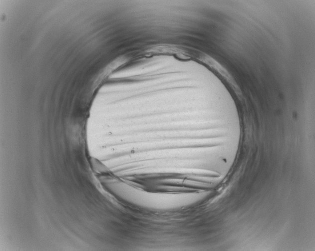 X0000065251049200603131123