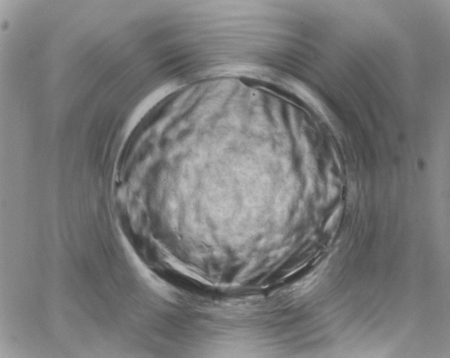 X0000065251050200603131123