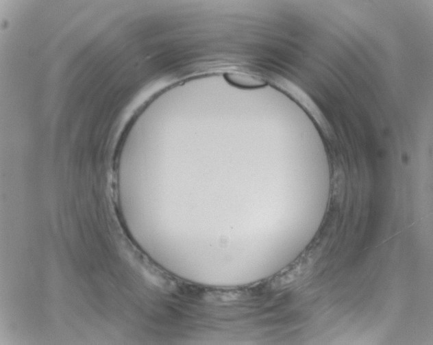 X0000065251051200603131123