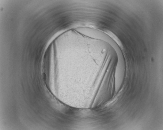 X0000065251052200603131123