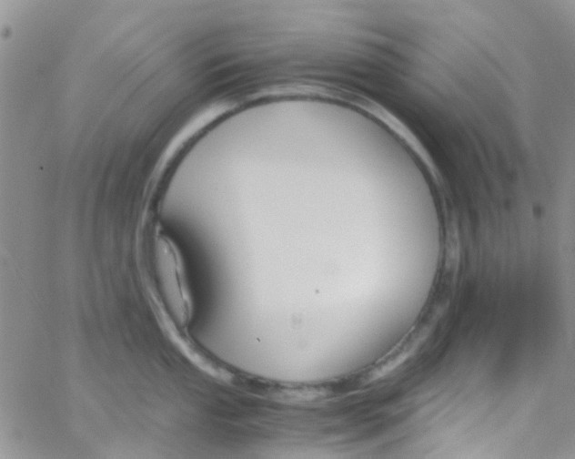 X0000065251053200603131123