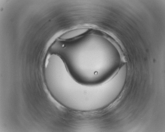 X0000065251054200603131123