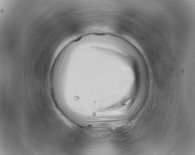 X0000065251056200603131123