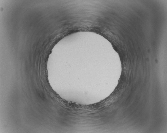 X0000065251057200603131122