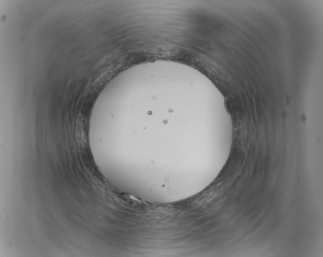 X0000065251058200603131122