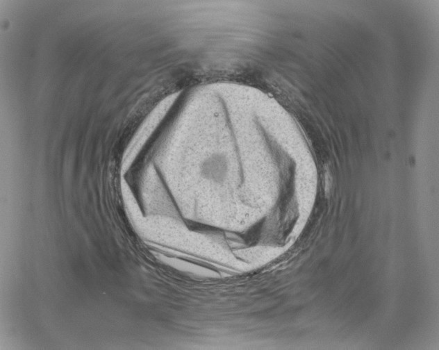 X0000065251059200603131122