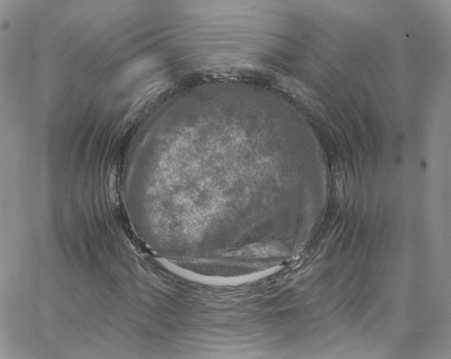 X0000065251060200603131122