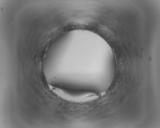 X0000065251061200603131122