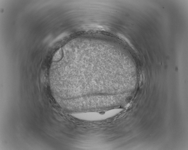 X0000065251063200603131122