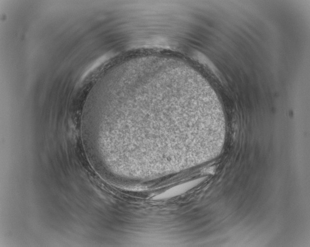 X0000065251064200603131122