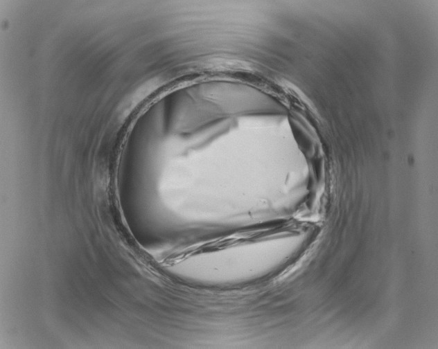 X0000065251065200603131122