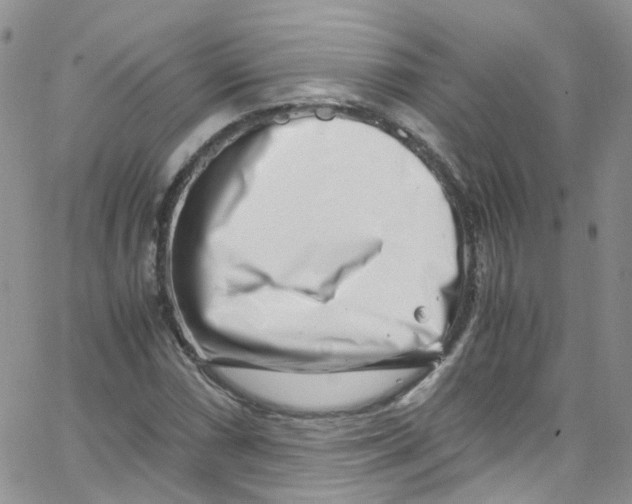 X0000065251066200603131122