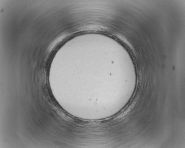 X0000065251067200603131122