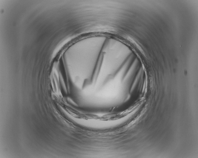 X0000065251069200603131122