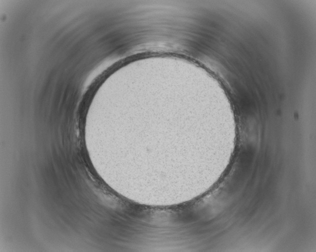 X0000065251070200603131122